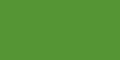 ProMarker перманентний двосторонній маркер Letraset. G356 Forest Green 