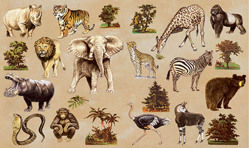 Бумага BRICO Африканские животные 33 x 48 см