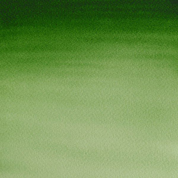 Winsor акварель Cotman Half Pan, № 314 Hooker's Green Light (Хукер світло-зелений)  - фото 2