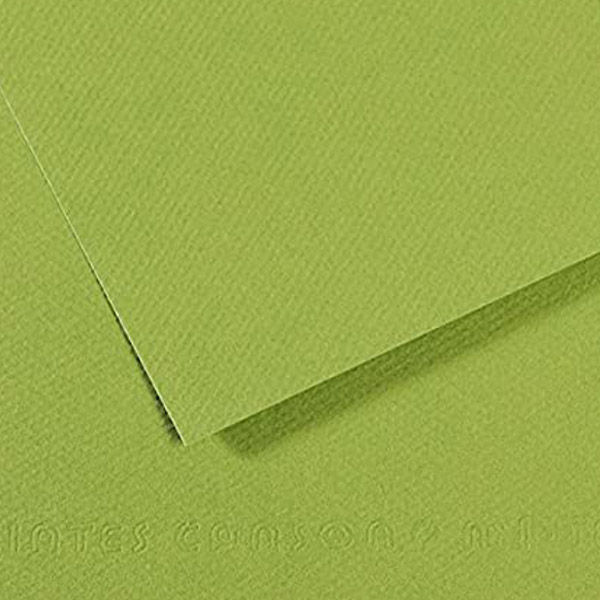 Папір для пастелі Canson Mi-Teintes 160 гр, A4, #475 Apple green (Яблучно-зелений) 