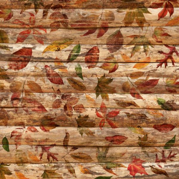 Набір скраппаперу "Autumn botanical diary", 10л, 20x20см, Фабрика Декору - фото 11