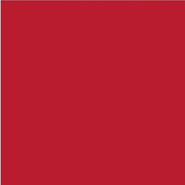 Картон Folia 50x70 см, 300 g, Кирпично-красный  №18