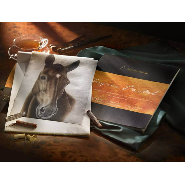 Альбом для пастели «The Collection Ingres», легкая текстура, 24х31см, 20л, 9 цветов, 100г/м2. Hahnem - фото 2