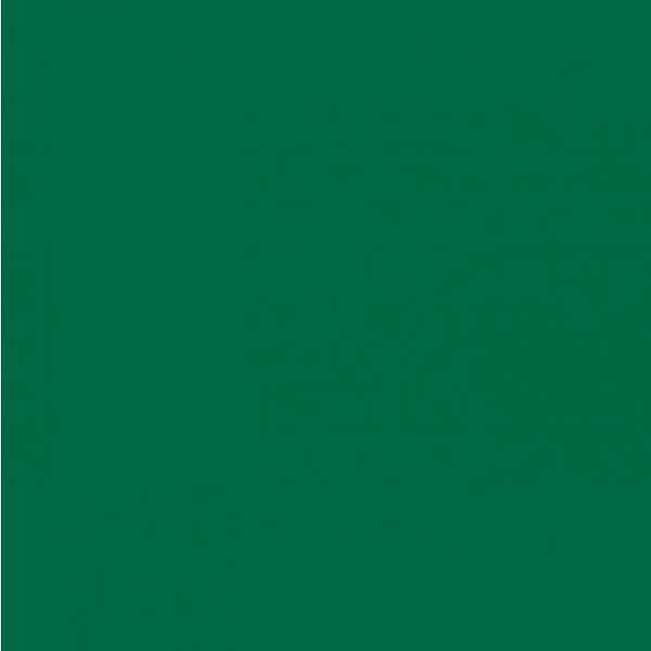 Картон Folia 50x70 см, 300 g, Темно-зелений №58 