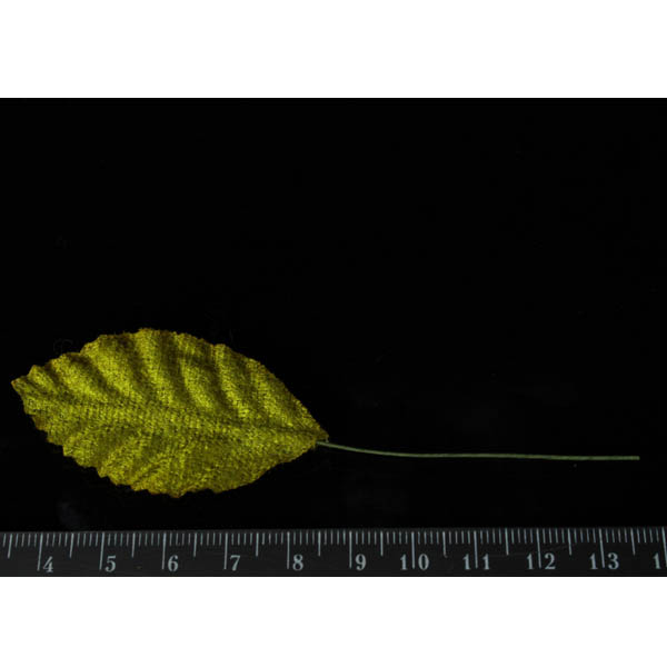 Штучне листя на довгому стеблі, тканинне, ЗЕЛЕНЕ, 11 см, 10 шт/уп.  - фото 2