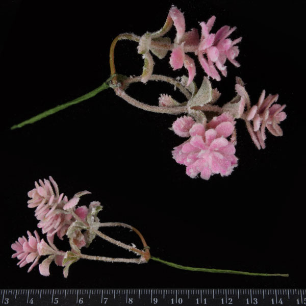 Букетик штучних квітів, 6 гілочок/уп.  - фото 2