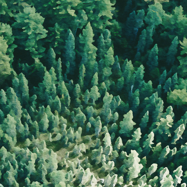 Набір скраппаперу «Forest life», 10аркушів, 30,5x30,5см, Фабрика Декору - фото 8