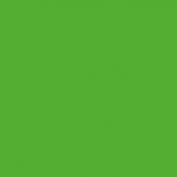 Картон Folia 50x70 см, 300 g, Зелений №55 