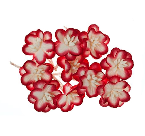 Квіти вишні із шовковичного паперу, Білі з червоним, 10 шт. 