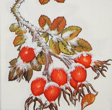 Салфетка  Шиповник под снегом