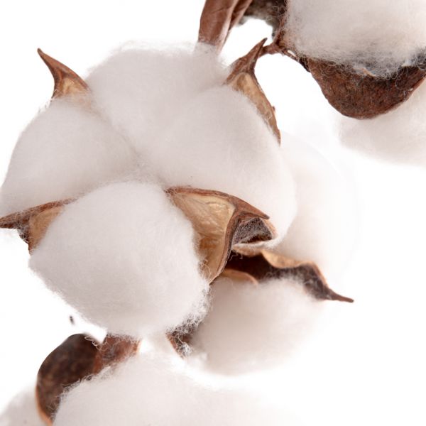 Ветка искуственная с цветками натурального хлопка, YES! Fun, 46 см - фото 2