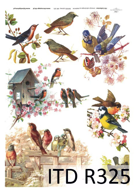 Рисовая бумага «Разноцветные птицы» А4