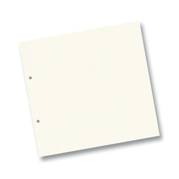 Folia картон для альбома Ring binder dividers 300 гр, 21,5x22,5 cм (20л), №01 Pearl White