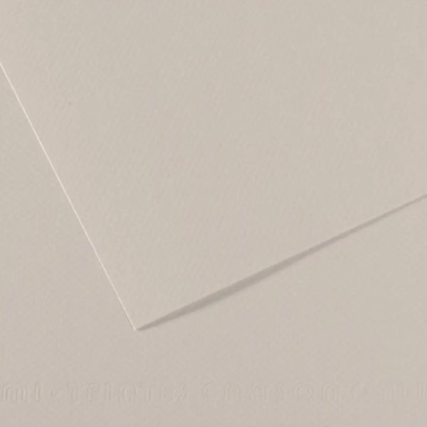 Бумага для пастели Canson Mi-Teintes 160 гр, 50x65 см,120 НЕЖНО-СЕРЫЙ (Pearl grey)