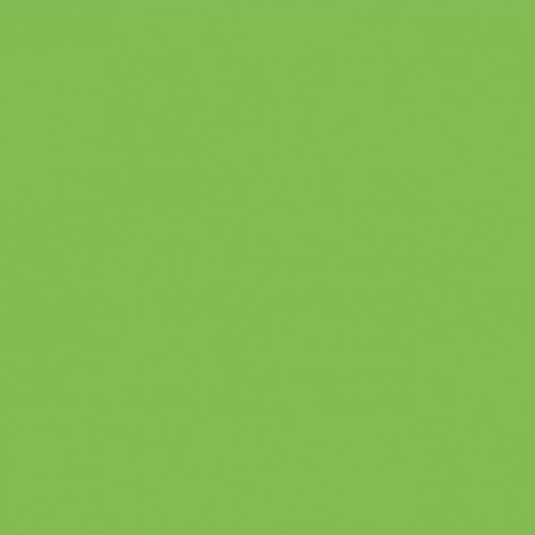Картон Folia 50x70 см, 300 g, Світло-зелений №51 