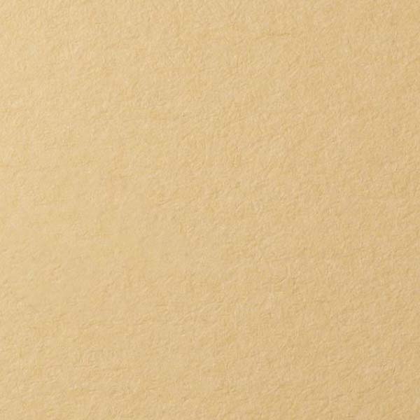 Папір для пастелі "Lana", 45% бавовна, 50х65см, 160г/м2. Колір: пісочний 