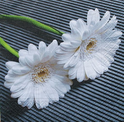 Салфетка Белые герберы