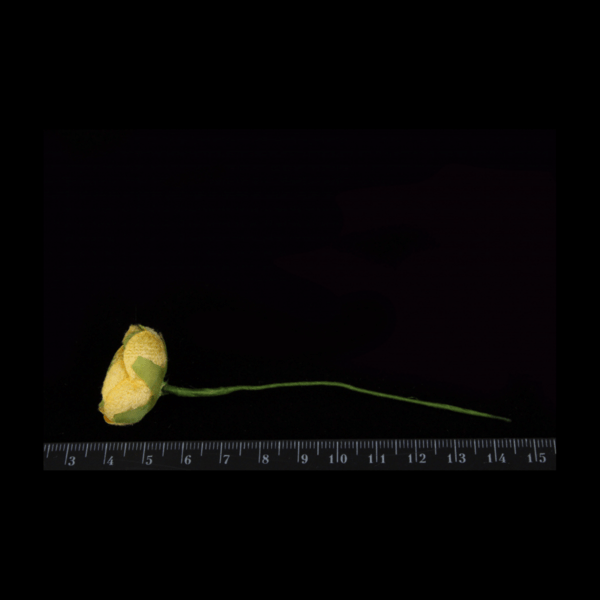 Букетик искусственных цветочков с тычинками 6 шт/уп., ЖЕЛТЫЕ - фото 3
