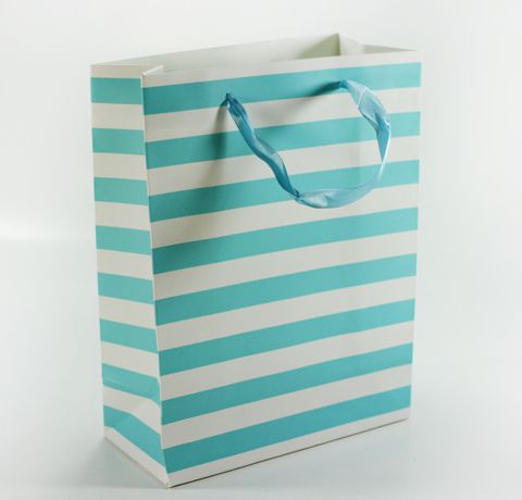 Бумажный пакет «Бело-голубая полоска», 24x18x8.5 см