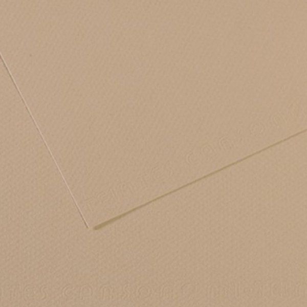 Папір для пастелі Canson Mi-Teintes 160 гр, 50x65 см, 343 СВІТЛО-СІРИЙ (Pearl) 