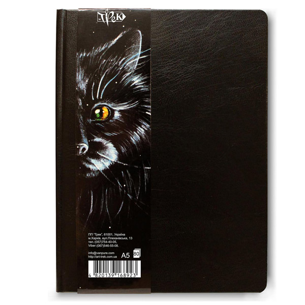 Альбом для ескізів SketchBook А5 (14,8 х21 см) 115 г/м.кв. 80 л., трек 