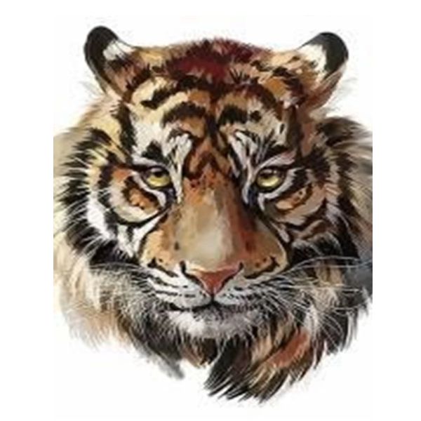 Алмазная мозаика Go to art "Мудрый тигр" 20*30 см