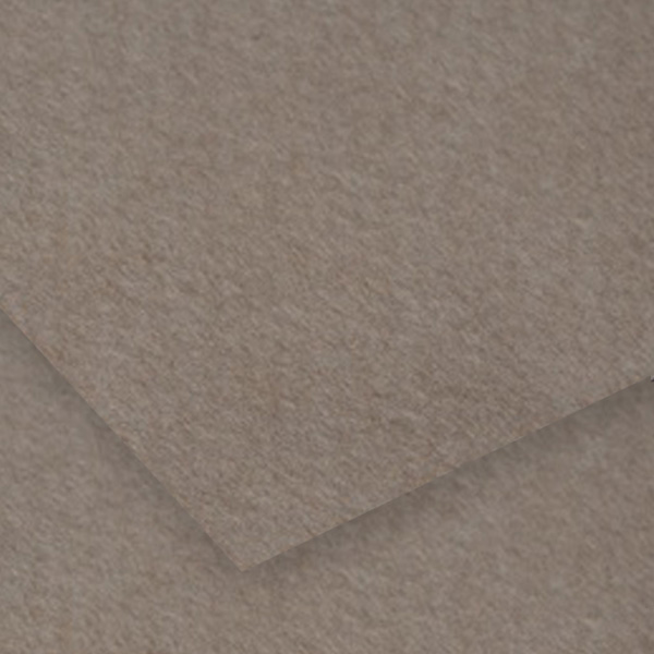 Бумага для пастели Canson Mi-Teintes 160 гр, 50x65 см, #122 Flannel gray (Фланелевый серый)