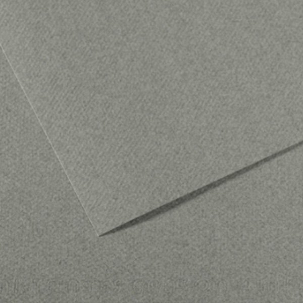 Бумага для пастели Canson Mi-Teintes 160 гр, 50x65 см, #429 Felt gray (Фетровый серый)
