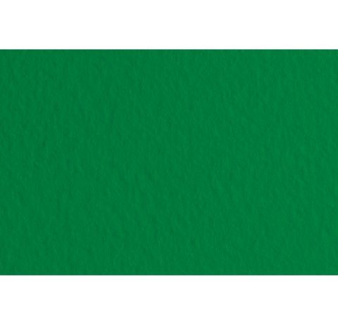 Папір для пастелі Tiziano B2 (50*70см) №37, 160г/м2, зелений, середнє зерно, Fabriano 