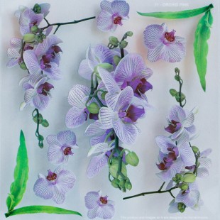 Пленка с рисунком для Sospeso Trasparente, Цветущая орхидея, 23*