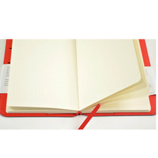 Блокнот для начерків, записів, в крапку, Hahnemuhle "DiaryFlex", 80л, 100г/м2, 19х11, 5см  - фото 2