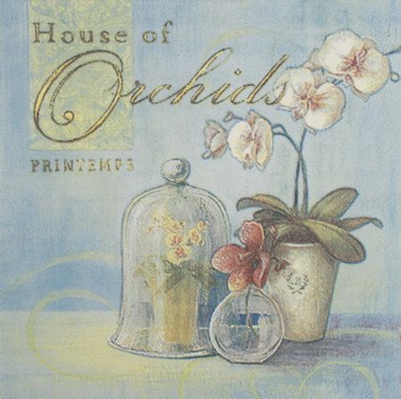 Салфетка Белая орхидея