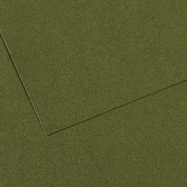 Папір для пастелі Canson Mi-Teintes 160 гр, 50x65 см #448 Ivy (Темно-зелений) 