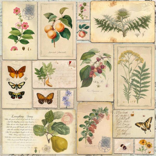 Набор скрапбумаги Summer botanical diary 30,5x30,5 см 10 листов - фото 10