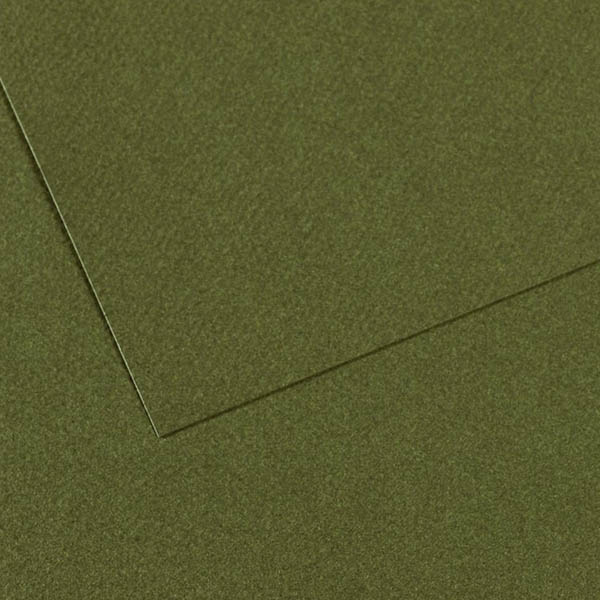 Папір для пастелі Canson Mi-Teintes 160 гр, A4, #448 Ivy (Темно-зелений) 