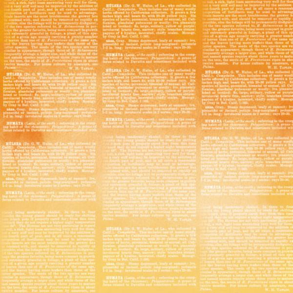Набор скрапбумаги «Autumn botanical diary», 10л, 30,5x30,5см, Фабрика Декора - фото 9