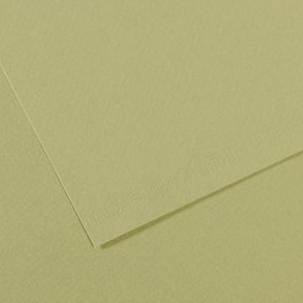 Бумага для пастели Canson Mi-Teintes 160 гр, A4, #480 Light green (Светло-зеленый)