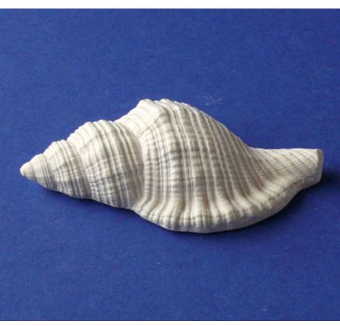 Фігурка з гіпсу «Морська черепашка-5», 6 см 