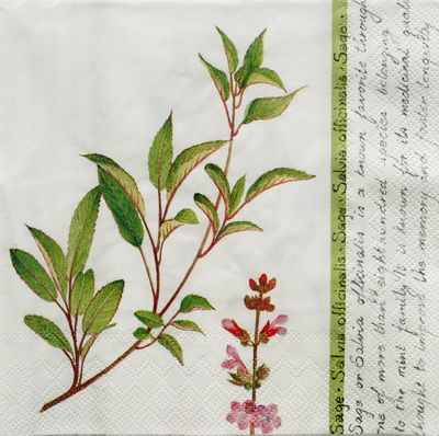 Салфетка Шалфей