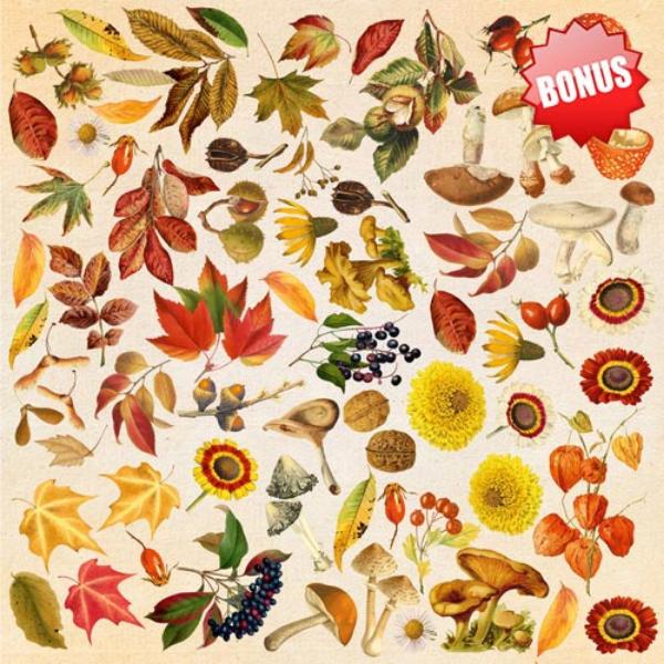 Набір скраппаперу "Autumn botanical diary", 10л, 20x20см, Фабрика Декору - фото 12