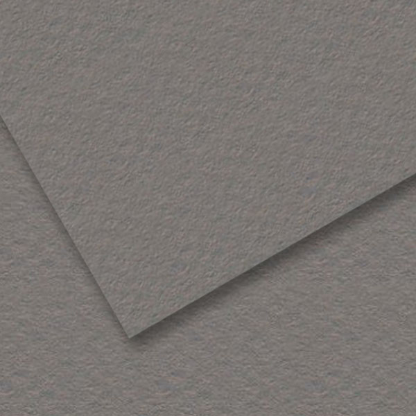 Папір для пастелі Canson Mi-Teintes 160 гр, 50x65 см, #431 Steel gray (Сталевий сірий) 