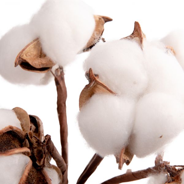 Ветка искуственная с цветками натурального хлопка, YES! Fun, 5 шт/пучок, 24 см - фото 2