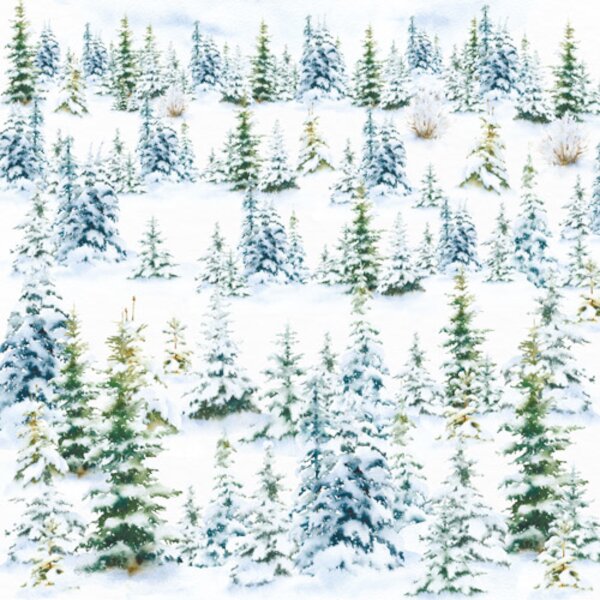 Набор скрапбумаги «Country winter», 10л, 30,5x30,5 см, Фабрика Декора - фото 9