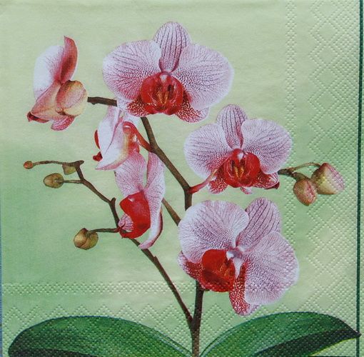 Салфетка Ветвь орхидеи