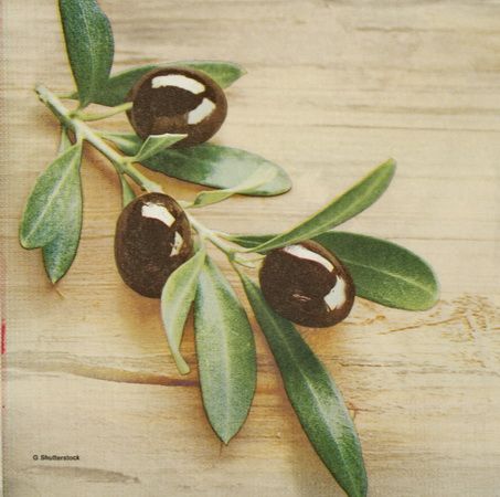 Салфетка Ветка с маслинами