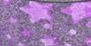 Скотч декоративний з блискітками самоклеючий, фіолетовий зірки, 1,5 см/5 метрів 