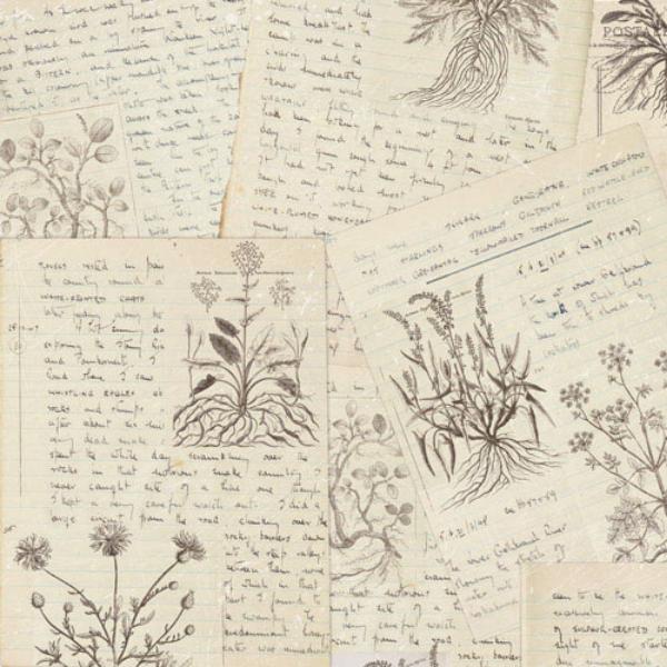 Набор скрапбумаги Summer botanical diary 30,5x30,5 см 10 листов - фото 7