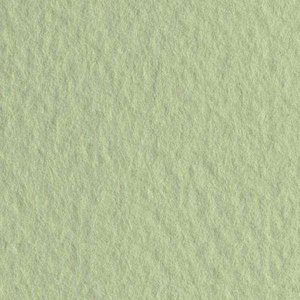 Бумага для пастели Tiziano B2 (50*70см), №11 САЛАТОВЫЙ, 160г/м2, среднее зерно, Fabriano