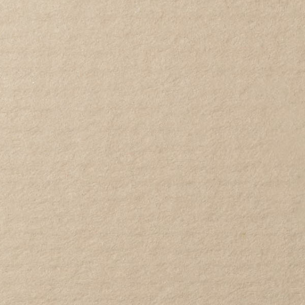 Папір для пастелі "Lana", 45% бавовна, 50х65см, 160г/м2. Колір: СЕРО-БІЛИЙ 