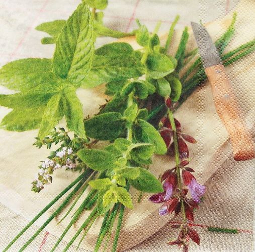 Салфетка Мята